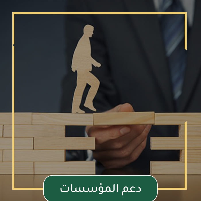 دعم المؤسسات
